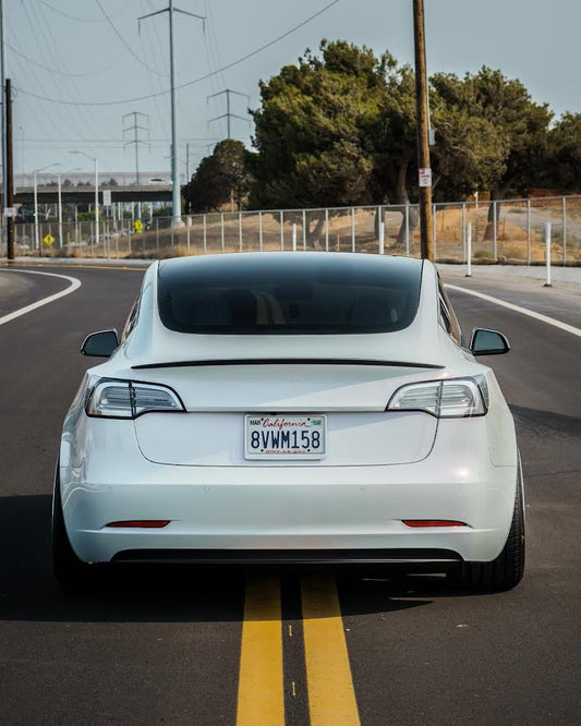 TESLA MODEL 3/Y (OEM)